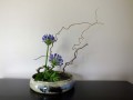 Détails : Ikebana, art floral Japonais